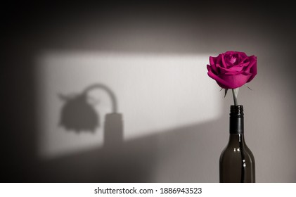 Lonely and Sadness Feeling. Mental Health Disorder in Relationship Concept. Pink Languish Rose Flower Shading Shadow on the Wall. Symbol of  Love and Valentines Day