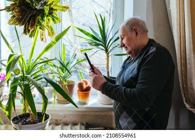 Lonely Senior Man Using Tablet For Communication With Relatives Or Friends Stands Near Window. 80s Mature Hairy Men Spend Time Seated At Home With Tablet Device.