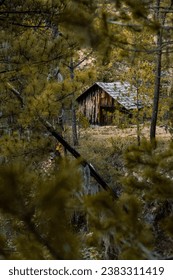 Lonely shack in the middle of a forest, on top of a mountain range.