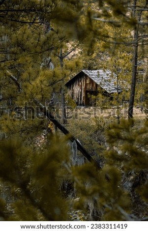 Lonely shack in the middle of a forest, on top of a mountain range.