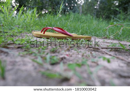 Lonely slippers in the grass forest