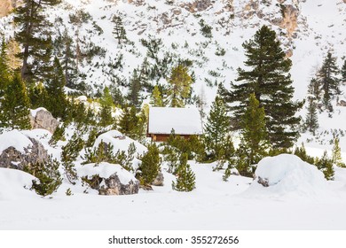 Lonely small / tiny house standing all alone right in the middle of the forest between mighty mountains in Alps.