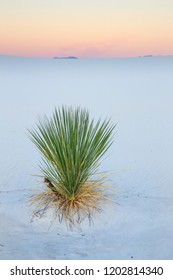 Lonely And Stark Landscape Of White Sands National Monument In New Mexico