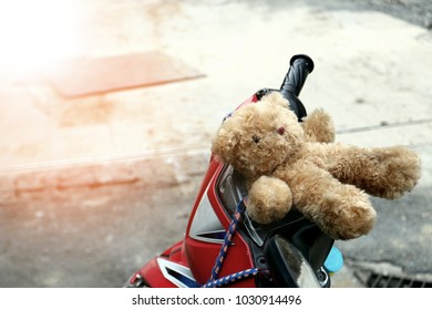 Lonely Teddy Bear On Motorcycle