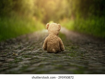 Lonely Teddy Bear On The Road