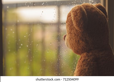 Lonely Teddy Bear In The Rain