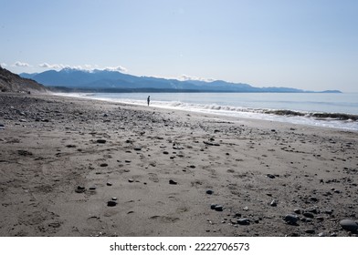 A Lonely Tourist At Dungeness Spit, Olympic Peninsula, WA, USA