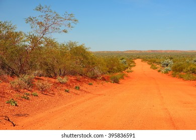 Lonely Track In Australian Bush