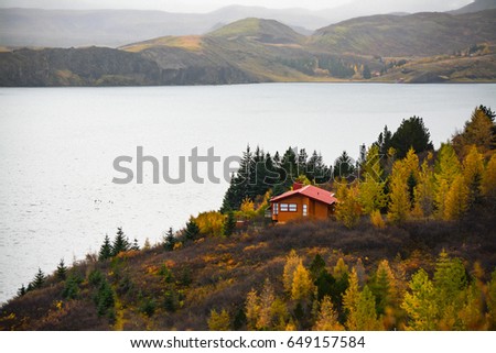 Lonely traditional countryside house in beautiful yellow autumn forest with lake in Iceland.