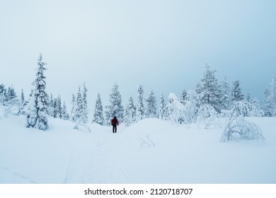 Lonely traveler walks along a snowy slope in a foggy frost shroud. Severe northern weather, poor visibility. Polar expedition.  - Shutterstock ID 2120718707