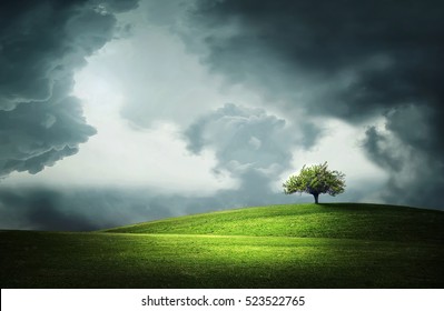Lonely tree - Powered by Shutterstock