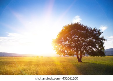 Beautiful Morning Sunrise High Res Stock Images Shutterstock