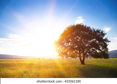 Beautiful Morning Sunrise Images Stock Photos Vectors Shutterstock