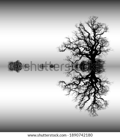Black Morning Lake Fog