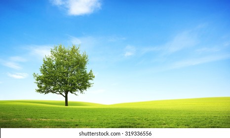 Single Tree Landscape Images, Stock Photos & Vectors | Shutterstock