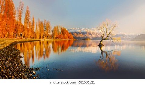 The Lonely Tree of Lake Wanaka South Island New Zealand - Powered by Shutterstock