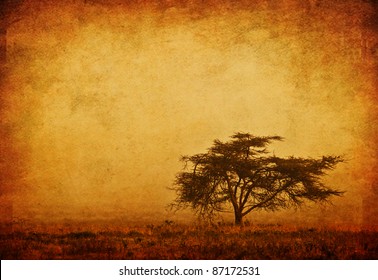 Lonely tree in the mist, grunge background, nature autumn season, african landscape in the morning, sepia toned