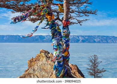 Lonely Tree On A Background Olkhon Island