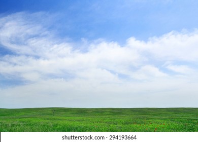 Lonely Tree On The Green Field Under Cloudy Blue Sky. Great As Computer Wallpaper