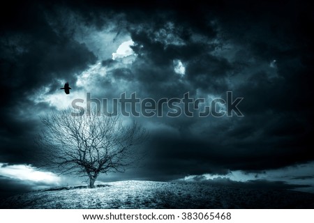 lonely tree on the hill with dark clouds in winter time, snowstorm