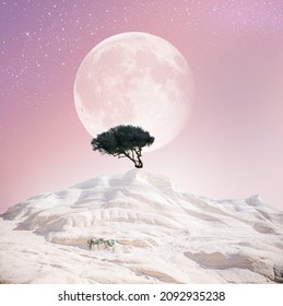 Lonely tree on a white island with a huge moon in the background on a pink sunset background with stars on the sky, white sandy beach Sarakiniko in Greece