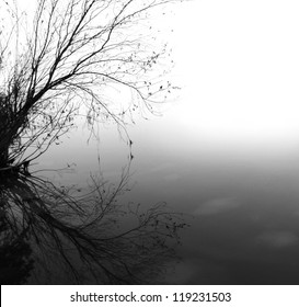 Lonely tree with reflection in water