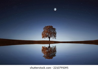 Lonely Tree standing alone in Lake waiting for someone. Beautiful sky with big moon shining with stars - Powered by Shutterstock