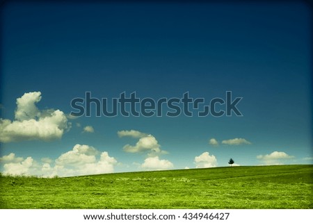 Image, Stock Photo girl walking in a field with yellow flowers one day