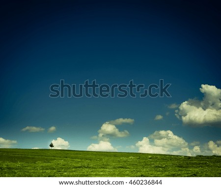 Similar – Image, Stock Photo girl walking in a field with yellow flowers one day