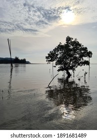 Tanjung Lumpur Images Stock Photos Vectors Shutterstock