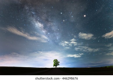 The Lonely tree under the starry night sky and the milky way. - Powered by Shutterstock