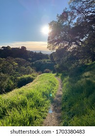 A Lonely Trip In Alum Rock Park