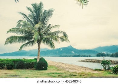 Lonely Tropical Coconut Palm On The Coast Beach With Island Mountains On The Background. 
Travel Inspiration. Postcard Concept. Vacation Wallpaper. Vintage Effect.