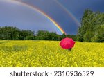 Lonely umbrella among field with blossoming rapeseed, on horizon seen approaching thunderstorm with double rainbow