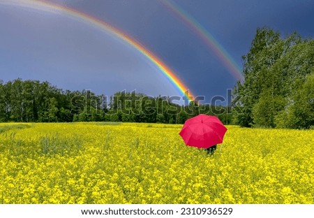 Lonely umbrella among field with blossoming rapeseed, on horizon seen approaching thunderstorm with double rainbow