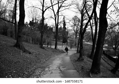  
lonely walk in the woods - Petrin Park, Prague - Shutterstock ID 1687558171