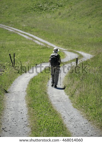 Similar – Image, Stock Photo finally free Meadow Calm