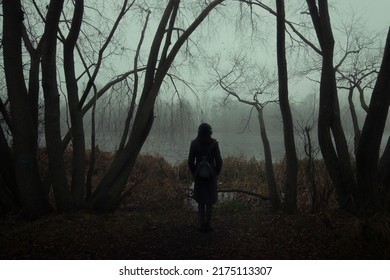 A lonely woman's silhouette among the dark trees in the fog in front of a misty lake in the forest. 