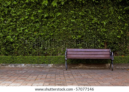 Lonely wooden bench in the park