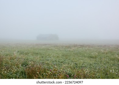 Lonely wooden farm house or shed (log cabin) in a thick fog at sunrise. Forest lawn, meadow, overgrown agricultural field. Atmospheric autumn landscape. Finland - Powered by Shutterstock