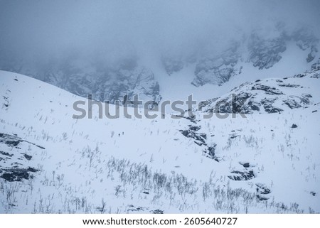 lonelyness in the glacier-made valley, two ski hikers on their way to the summit, snow-covered landscape, panorama in winter wonderland Norway, with haze and fog on cloudy day, wide white snow