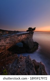 Lonenly Tree , One Of Beautiful Spot On Rote Island