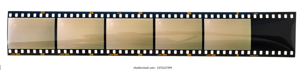 long 35mm photo or film strip type 135 with empty and exposed cells or frames on white background, just blend in your content 