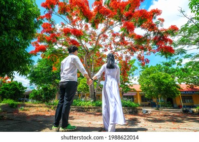 Long An, Vietnam - May 13th, 2021: Couple of students in uniform holding hands walking towards phoenix tree where summer is coming up timestamp students also timeless in Long An, Vietnam