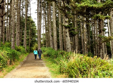 Long Beach, Washington, USA Aug. 22, 2014  A Couple Walking On A Path Through A Forest On The West Coast Of America.