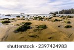 Long Beach, wide Panoramic Landscape in Pacific Rim National Park Reserve on Vancouver Island, British Columbia, Canada.