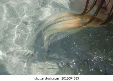 Long Blonde Hair Floating In The Water. Wet Hair Close Up Image. Hair Damage Due To Salty Ocean Water And Sun, Summertime Hair Care Concept.