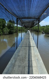 Long bridge below the nets at Bedul beach in the morning, in Alas Purwo National Park, Banyuwangi, Indonesia. Famous mangrove tourism