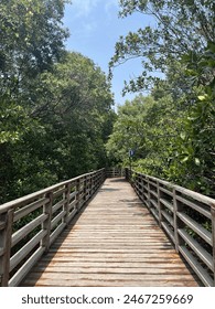 Long bridge in the forest