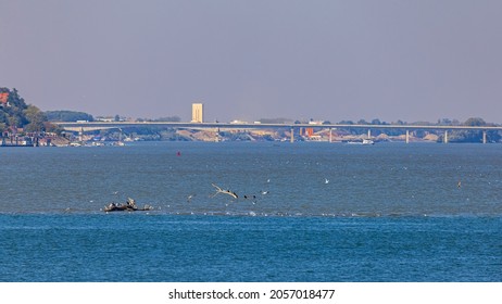 Long Bridge Mihajlo Pupin Over Blue Danube River In Zemun